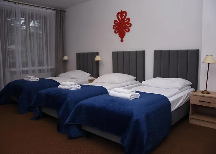 מלון Boruta זקופאנה