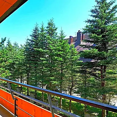 Hotel Boruta