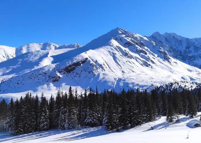 Boruta 3* זקופאנה